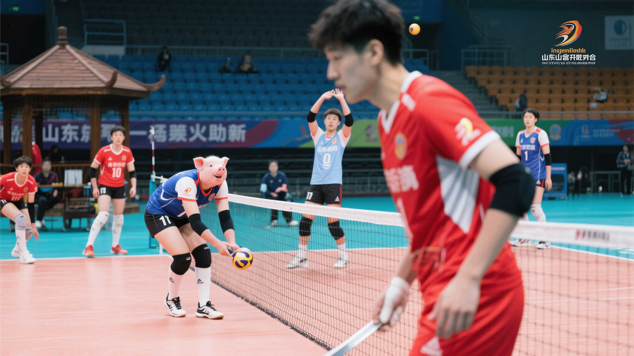 乐鱼官网客户中心